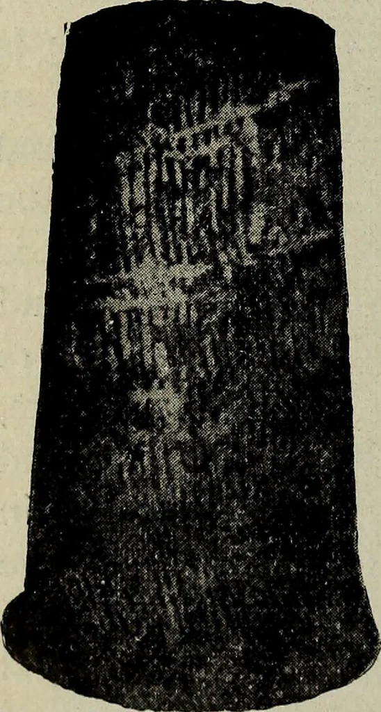 An illustration from Ohio archæological and historical quarterly, 1887, leaf 173