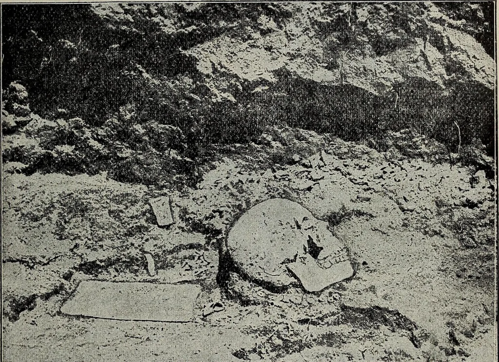 An illustration from Ohio archæological and historical quarterly, 1887, leaf 174