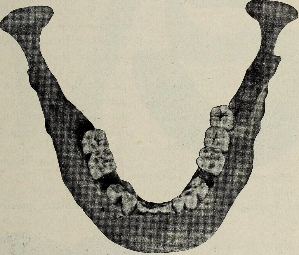 An illustration from Ohio archæological and historical quarterly, 1887, leaf 178