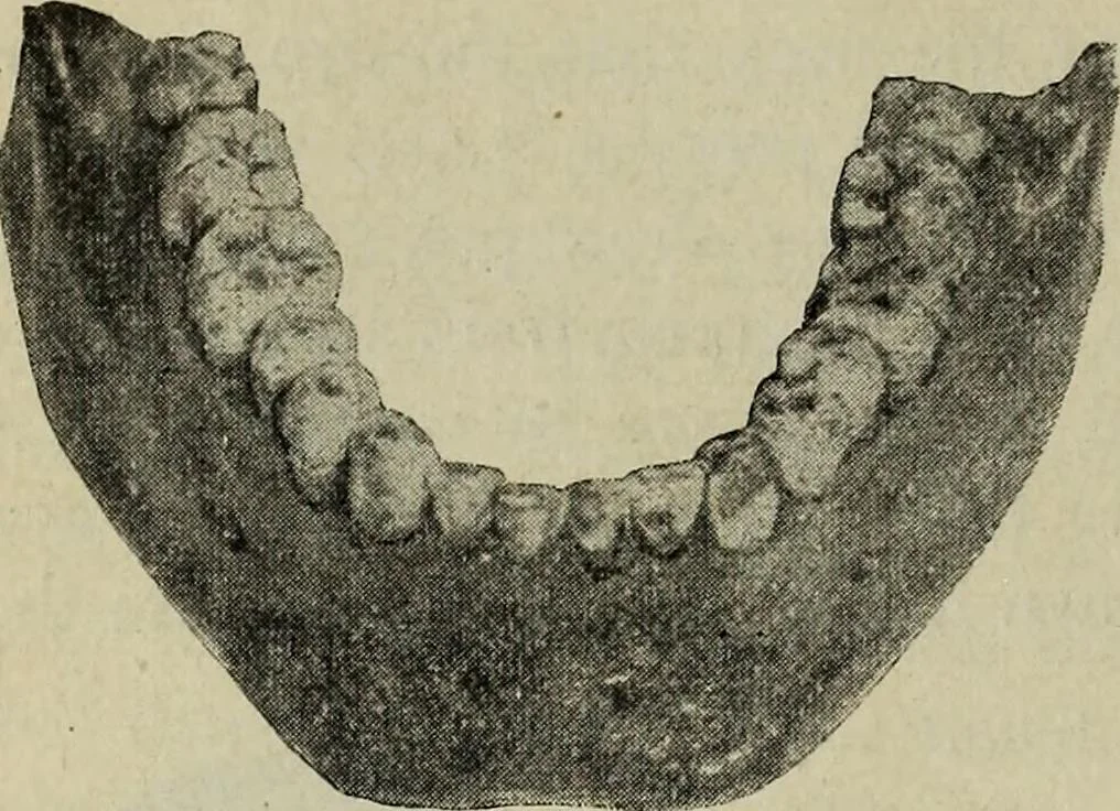 An illustration from Ohio archæological and historical quarterly, 1887, leaf 179