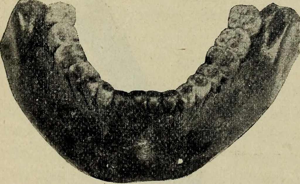 An illustration from Ohio archæological and historical quarterly, 1887, leaf 179