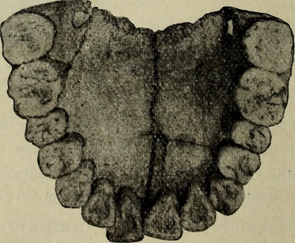 An illustration from Ohio archæological and historical quarterly, 1887, leaf 179