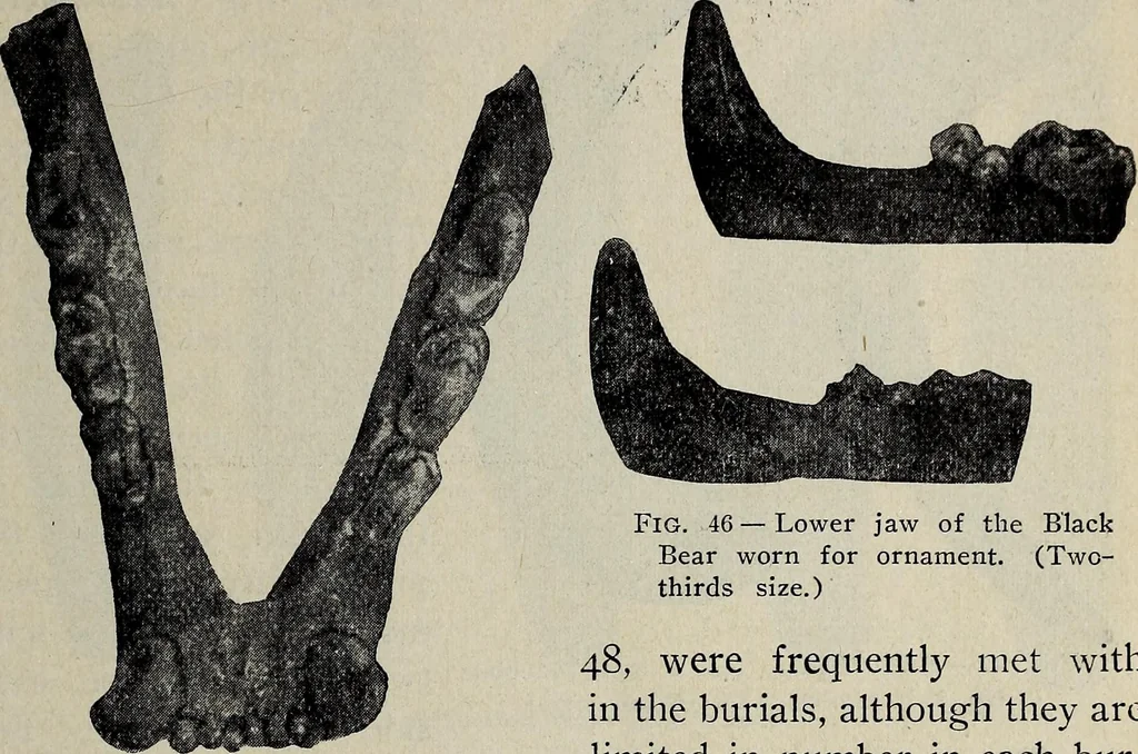 An illustration from Ohio archæological and historical quarterly, 1887, leaf 180