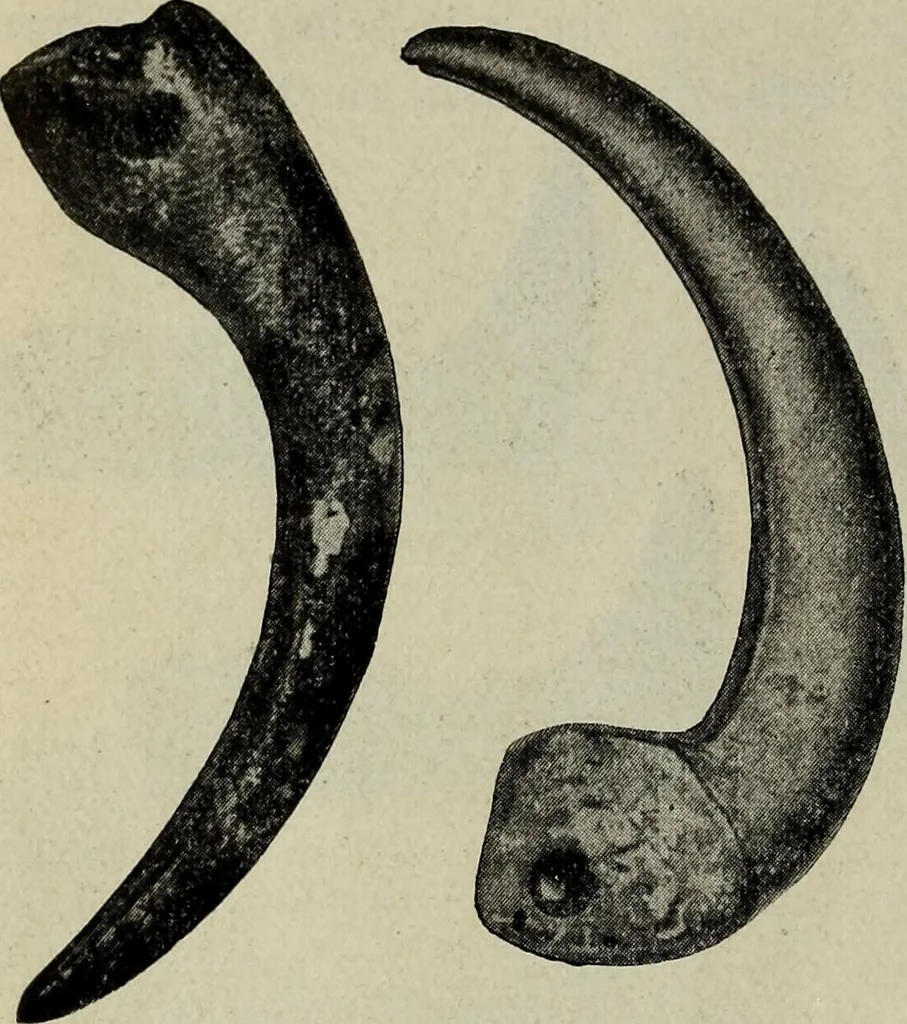 An illustration from Ohio archæological and historical quarterly, 1887, leaf 181