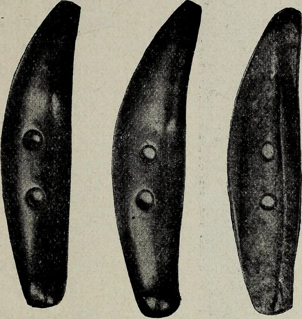 An illustration from Ohio archæological and historical quarterly, 1887, leaf 182