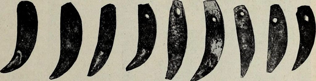 An illustration from Ohio archæological and historical quarterly, 1887, leaf 182
