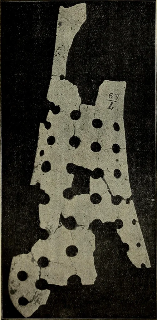 An illustration from Ohio archæological and historical quarterly, 1887, leaf 183