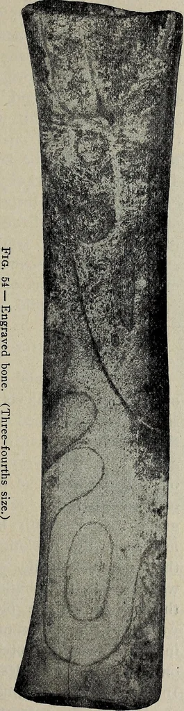 An illustration from Ohio archæological and historical quarterly, 1887, leaf 184