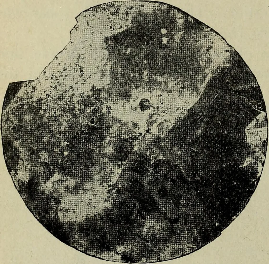 An illustration from Ohio archæological and historical quarterly, 1887, leaf 187
