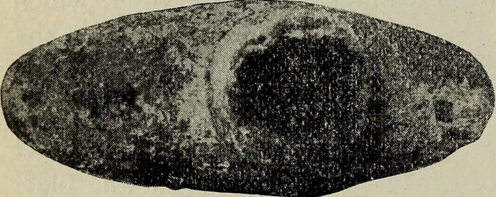 An illustration from Ohio archæological and historical quarterly, 1887, leaf 189