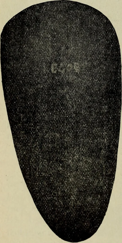 An illustration from Ohio archæological and historical quarterly, 1887, leaf 191