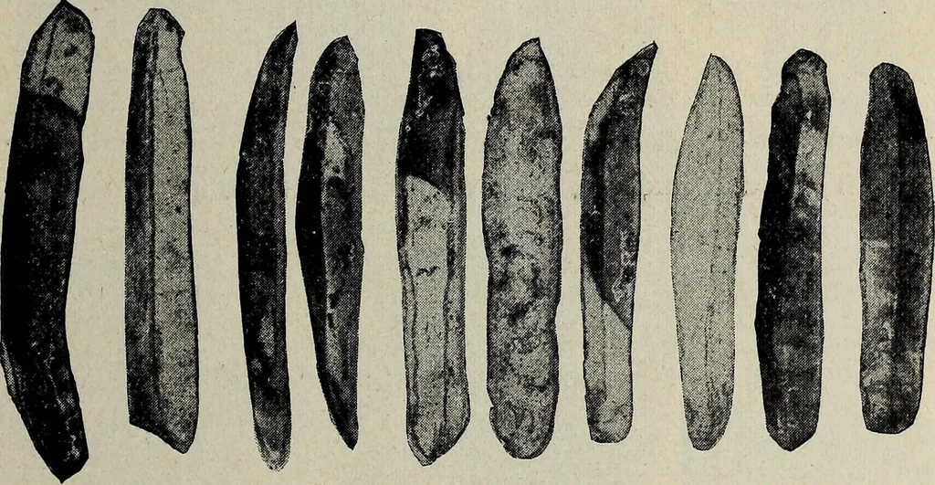 An illustration from Ohio archæological and historical quarterly, 1887, leaf 192
