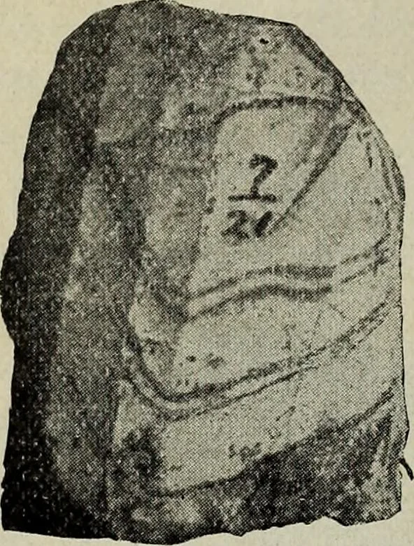 An illustration from Ohio archæological and historical quarterly, 1887, leaf 193