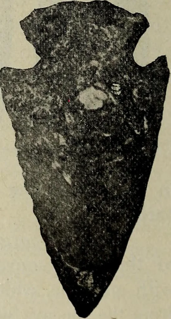 An illustration from Ohio archæological and historical quarterly, 1887, leaf 193