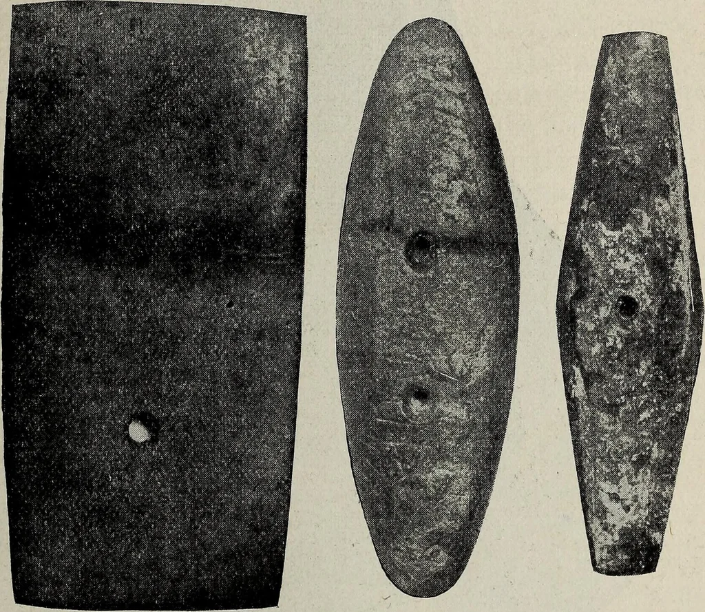 An illustration from Ohio archæological and historical quarterly, 1887, leaf 194
