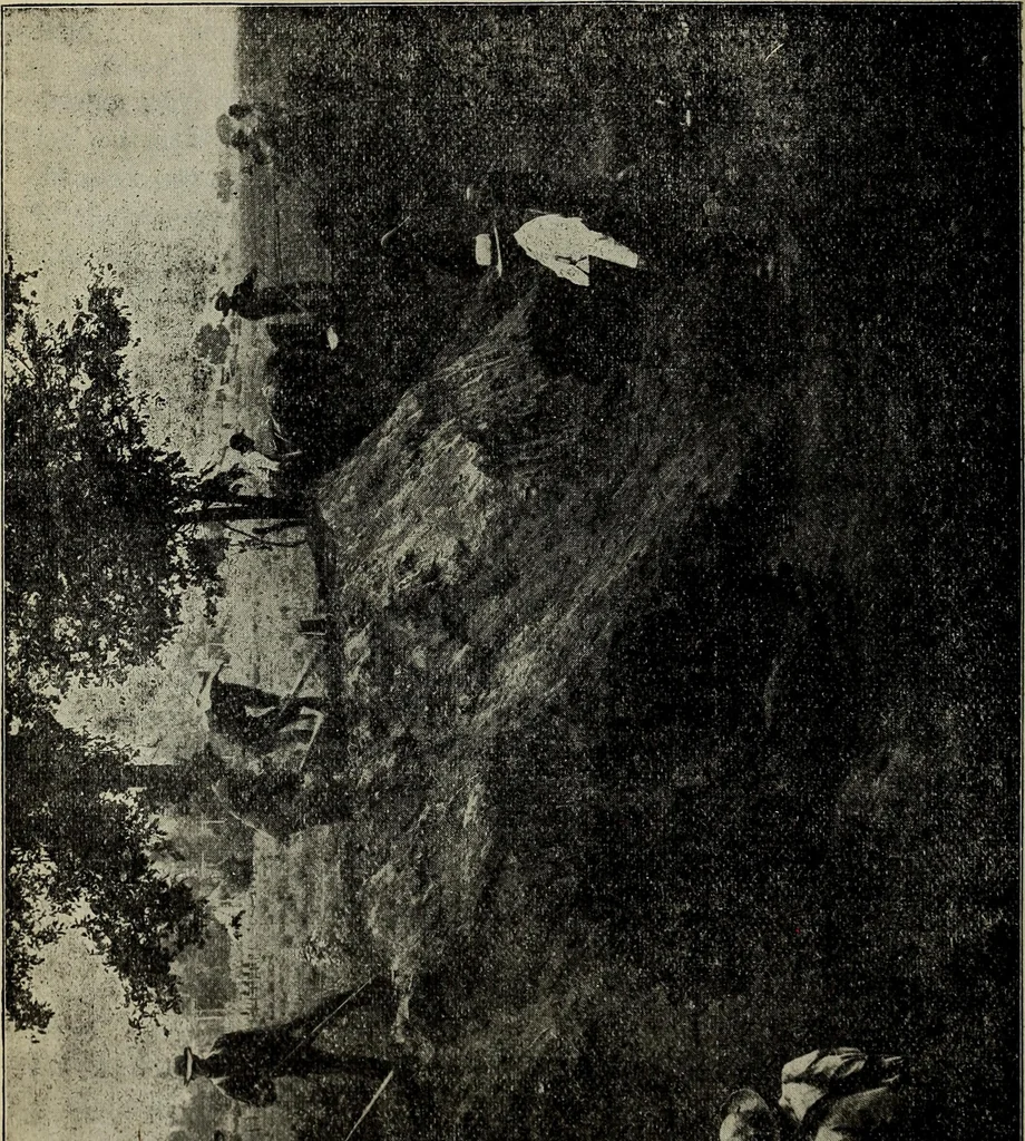 An illustration from Ohio archæological and historical quarterly, 1887, leaf 205
