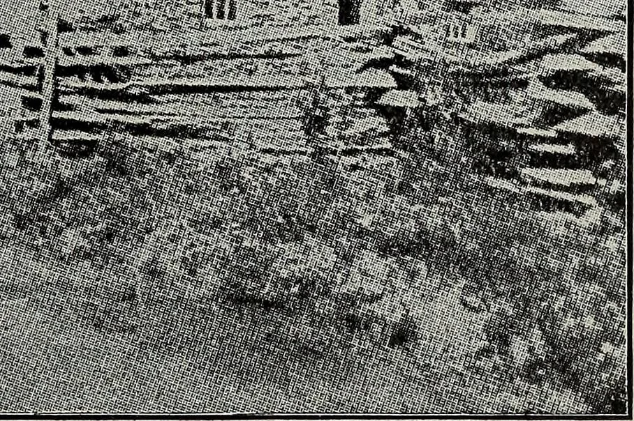 An illustration from Ohio archæological and historical quarterly, 1887, leaf 222