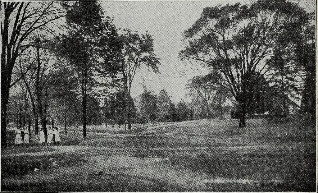 An illustration from Ohio archæological and historical quarterly, 1887, leaf 304