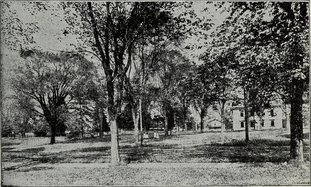 An illustration from Ohio archæological and historical quarterly, 1887, leaf 312