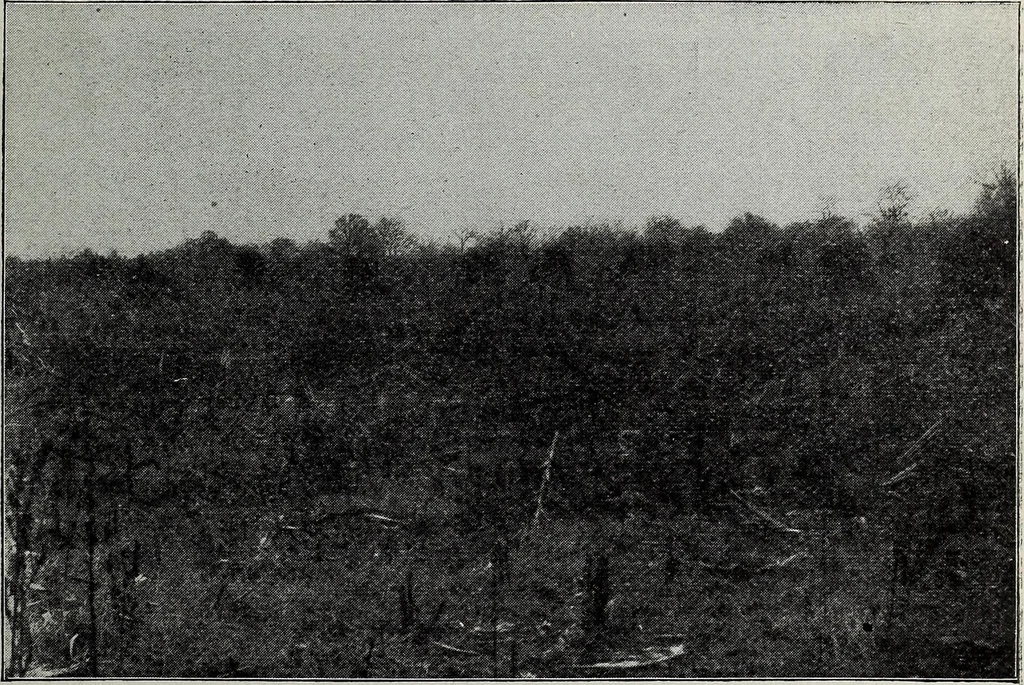 An illustration from Ohio archæological and historical quarterly, 1887, leaf 36