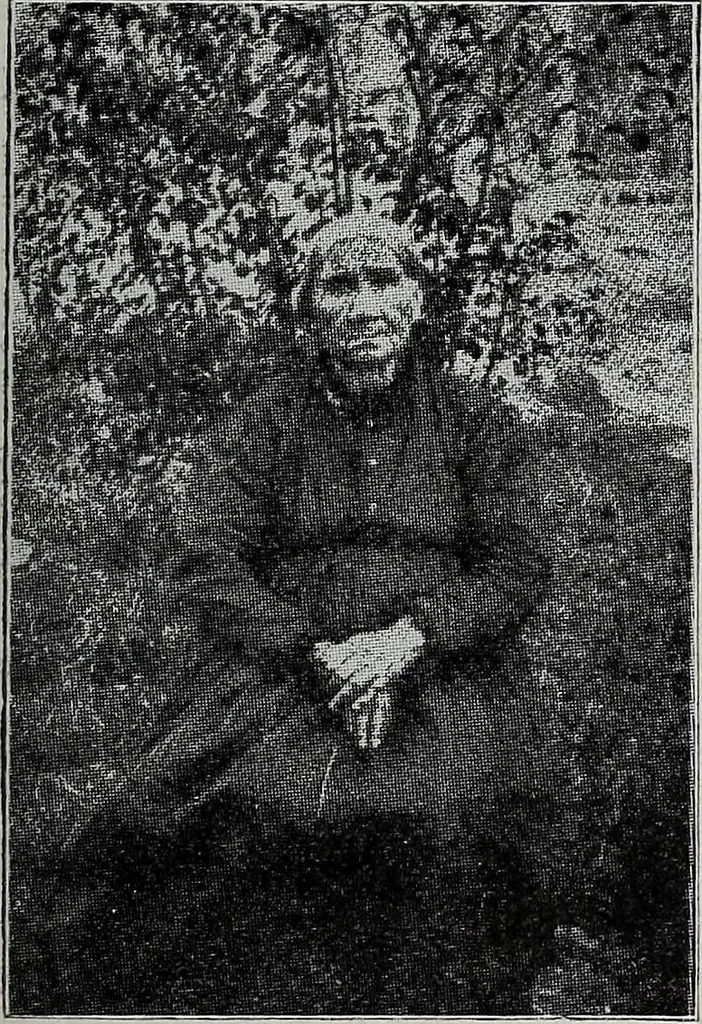 An illustration from Ohio archæological and historical quarterly, 1887, leaf 362