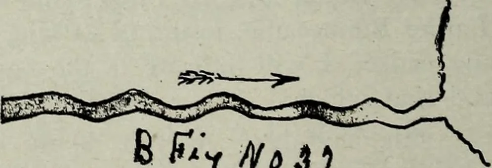 An illustration from Ohio archæological and historical quarterly, 1887, leaf 391