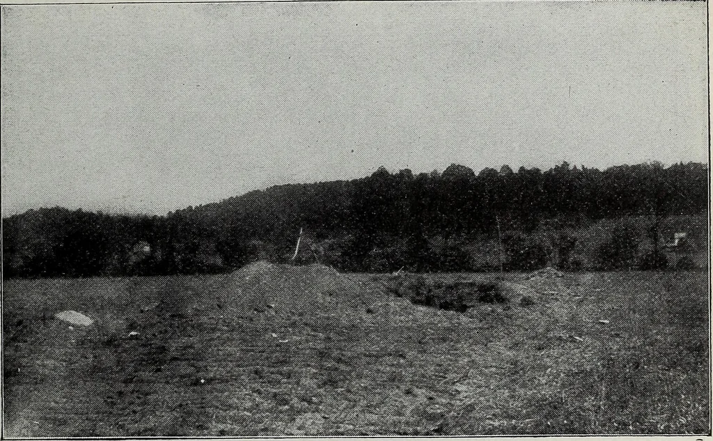 An illustration from Ohio archæological and historical quarterly, 1887, leaf 50