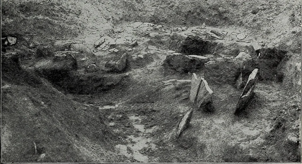 An illustration from Ohio archæological and historical quarterly, 1887, leaf 54