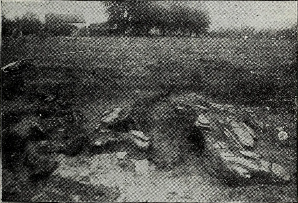 An illustration from Ohio archæological and historical quarterly, 1887, leaf 56