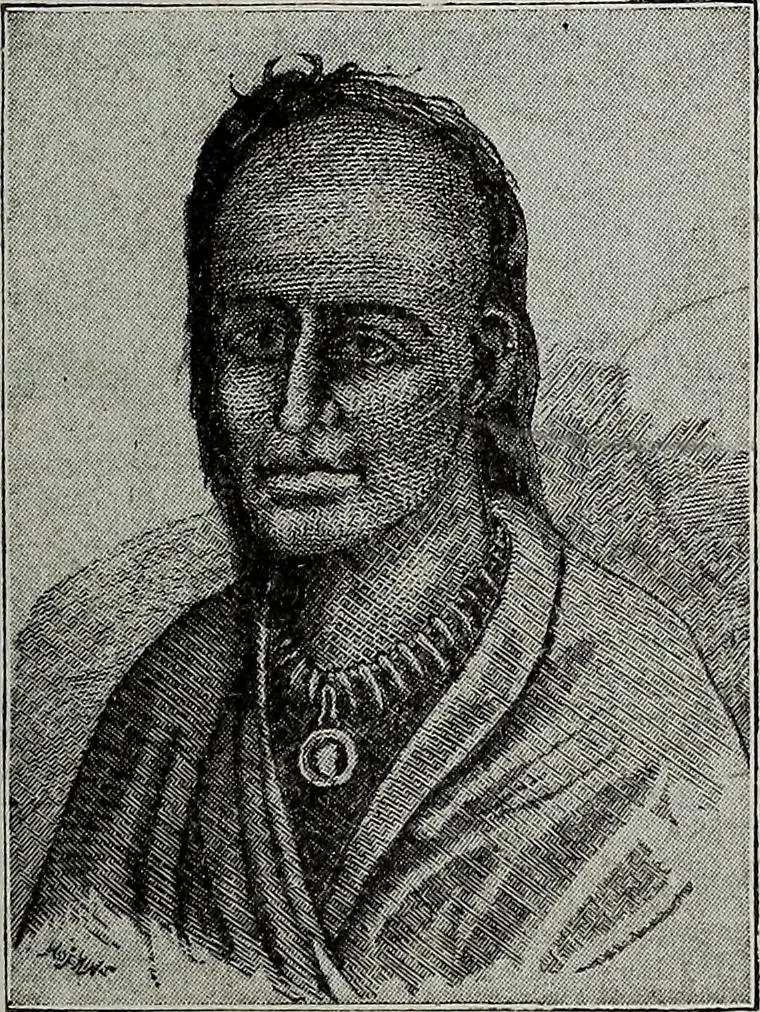 An illustration from Ohio archæological and historical quarterly, 1887, leaf 128