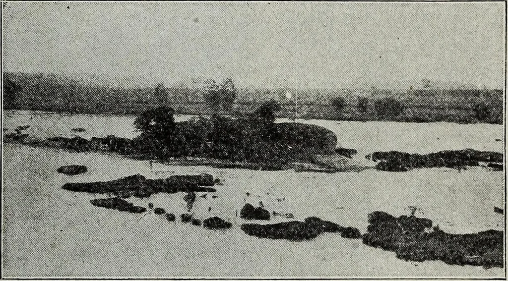 An illustration from Ohio archæological and historical quarterly, 1887, leaf 160