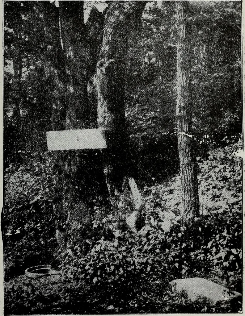 An illustration from Ohio archæological and historical quarterly, 1887, leaf 194