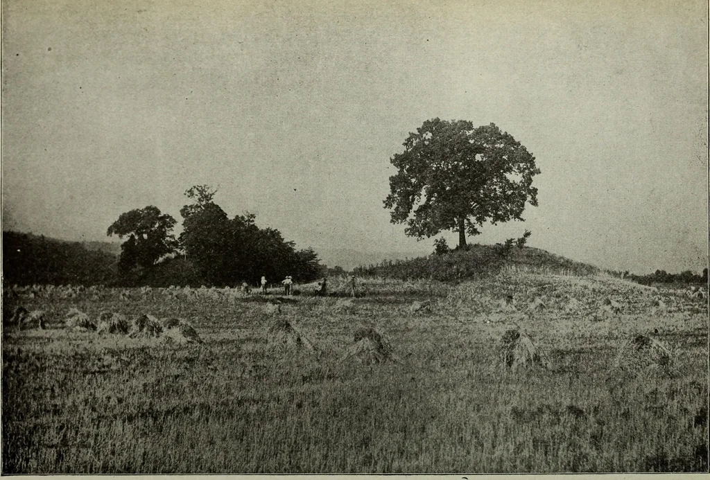 An illustration from Ohio archæological and historical quarterly, 1887, leaf 281