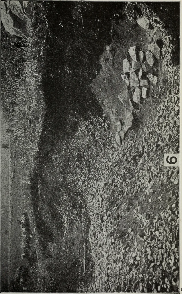 An illustration from Ohio archæological and historical quarterly, 1887, leaf 286