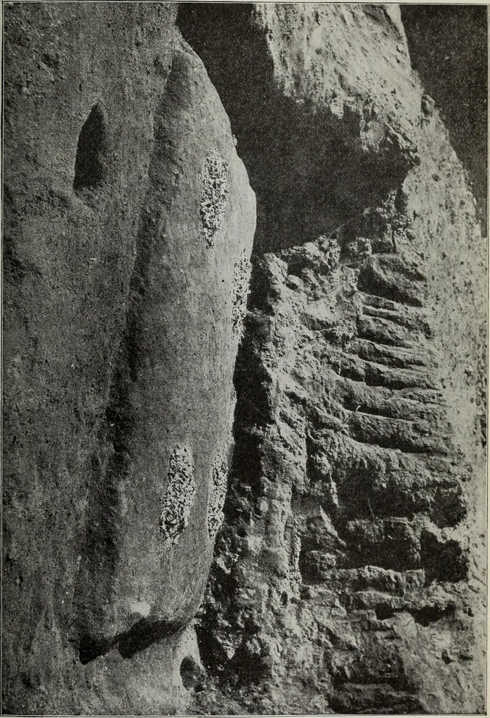 An illustration from Ohio archæological and historical quarterly, 1887, leaf 290