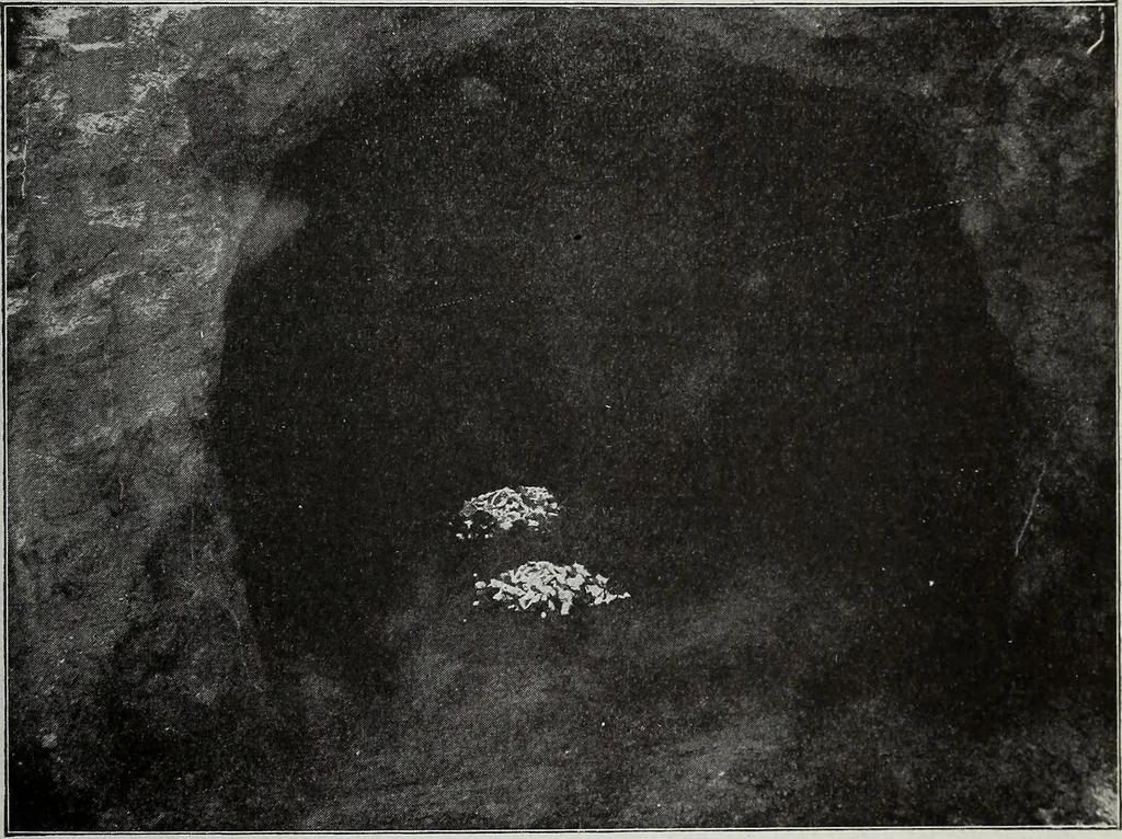 An illustration from Ohio archæological and historical quarterly, 1887, leaf 292
