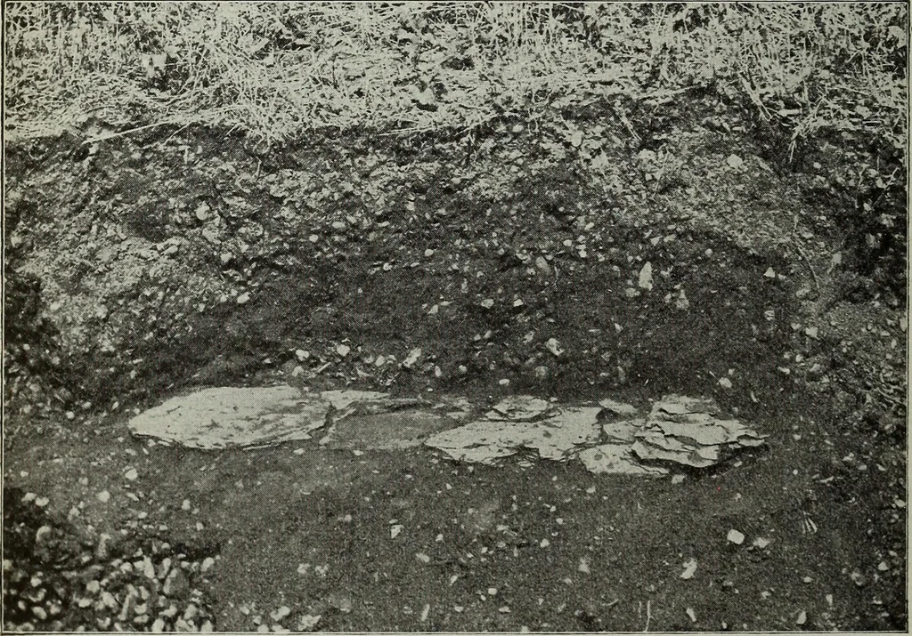 An illustration from Ohio archæological and historical quarterly, 1887, leaf 295
