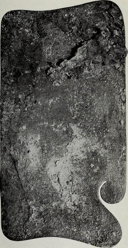 An illustration from Ohio archæological and historical quarterly, 1887, leaf 296