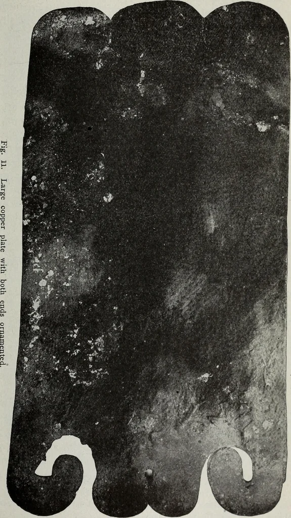 An illustration from Ohio archæological and historical quarterly, 1887, leaf 298
