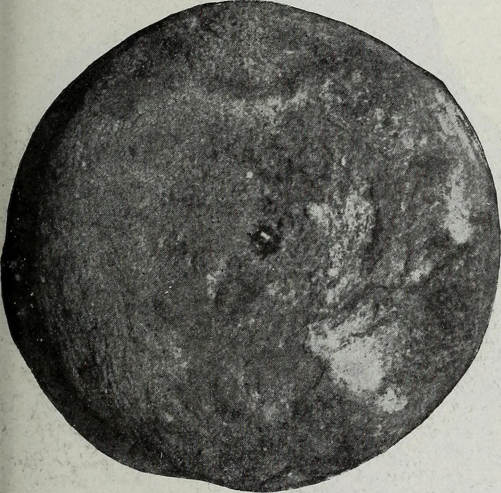An illustration from Ohio archæological and historical quarterly, 1887, leaf 304