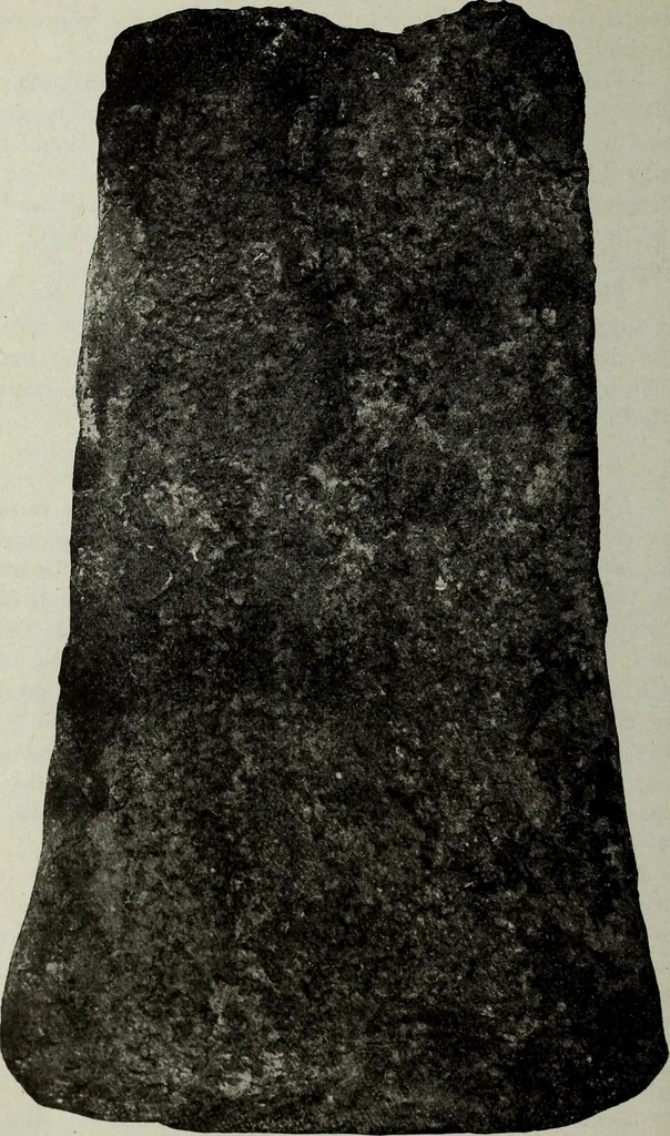 An illustration from Ohio archæological and historical quarterly, 1887, leaf 309