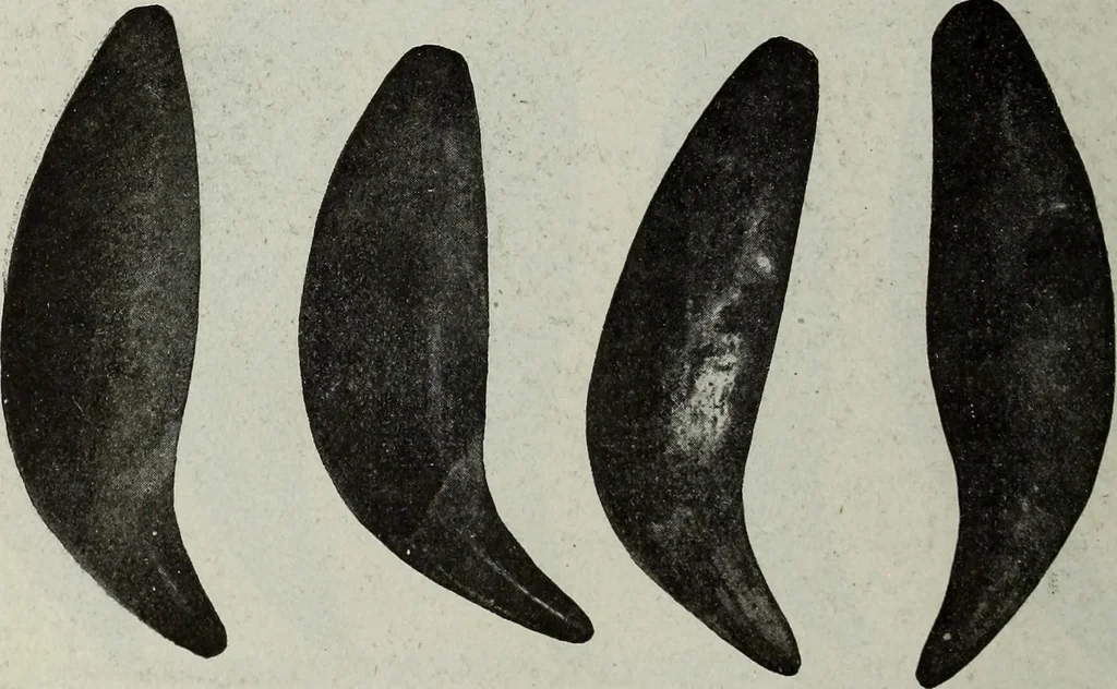 An illustration from Ohio archæological and historical quarterly, 1887, leaf 315