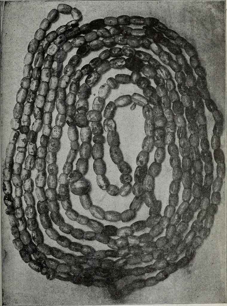 An illustration from Ohio archæological and historical quarterly, 1887, leaf 320