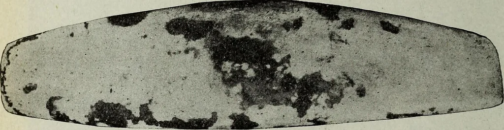 An illustration from Ohio archæological and historical quarterly, 1887, leaf 321
