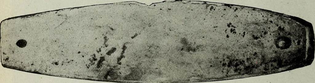 An illustration from Ohio archæological and historical quarterly, 1887, leaf 321