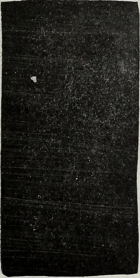 An illustration from Ohio archæological and historical quarterly, 1887, leaf 324
