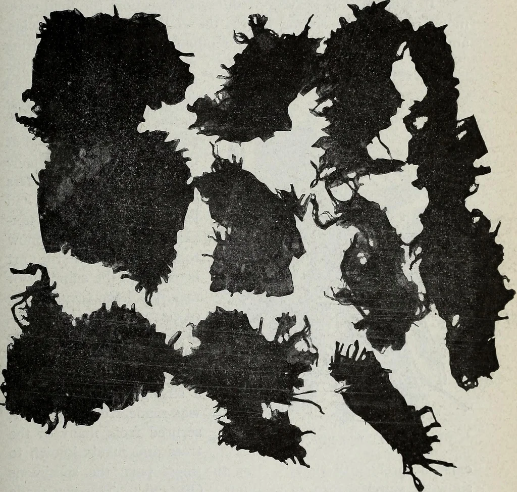 An illustration from Ohio archæological and historical quarterly, 1887, leaf 328