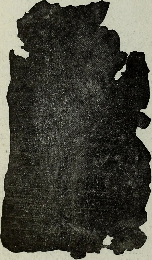 An illustration from Ohio archæological and historical quarterly, 1887, leaf 331