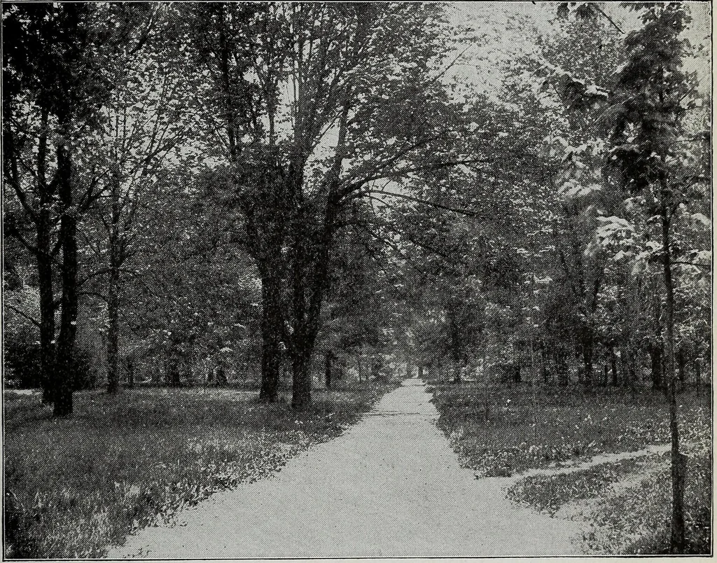 An illustration from Ohio archæological and historical quarterly, 1887, leaf 352