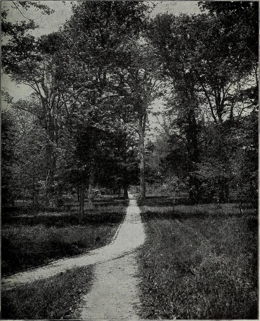 An illustration from Ohio archæological and historical quarterly, 1887, leaf 354